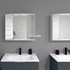 Kupaonski ormarić sa ogledalom i LED rasvjetom Basic-C, Nika, 68x60x23 cm